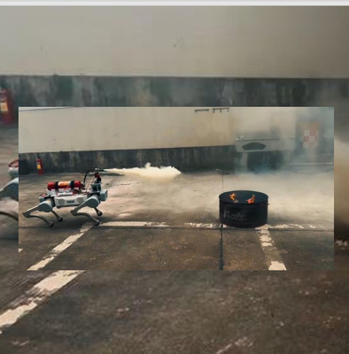 Ultra hafif ve becerikli işbirliği robotik kol patlama karşıtı güvenlik cihazları ile uzaktan tutma